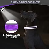 Ver la foto 4
