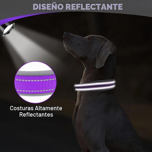 Foto 4 de 7 de Joytale Collar Perro Grande Resistente, Reflectante Ajustable de Acolchado Neopreno Nylon, Morado, L