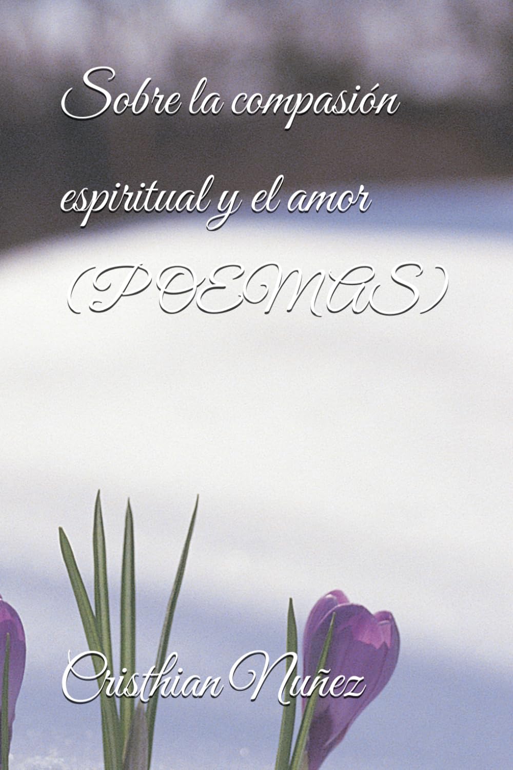 Sobre la compasión espiritual y el amor (POEMAS)