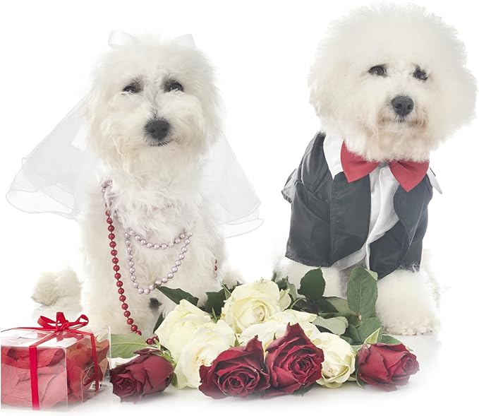Velo de novia para perro KUDES con clip y perlas, accesorio para boda miniatura 7