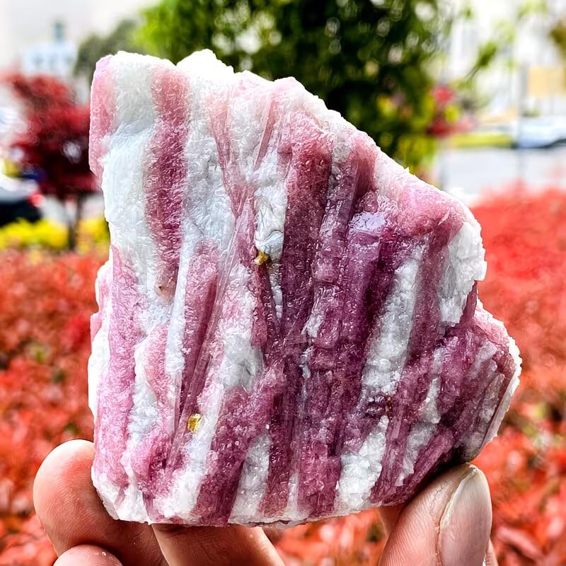 Cristal Crudo de turmalina en Flor de Ciruelo Natural – Turmalina | Espécimen mineral, piedra de cristal curativa para decoración del hogar, colección y regalo