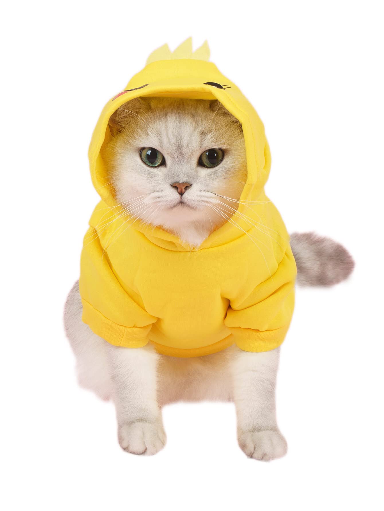 Photo 1 of 2 PAIRS OF SHIRTS FOR DOGS LARGE AND MEDIUM