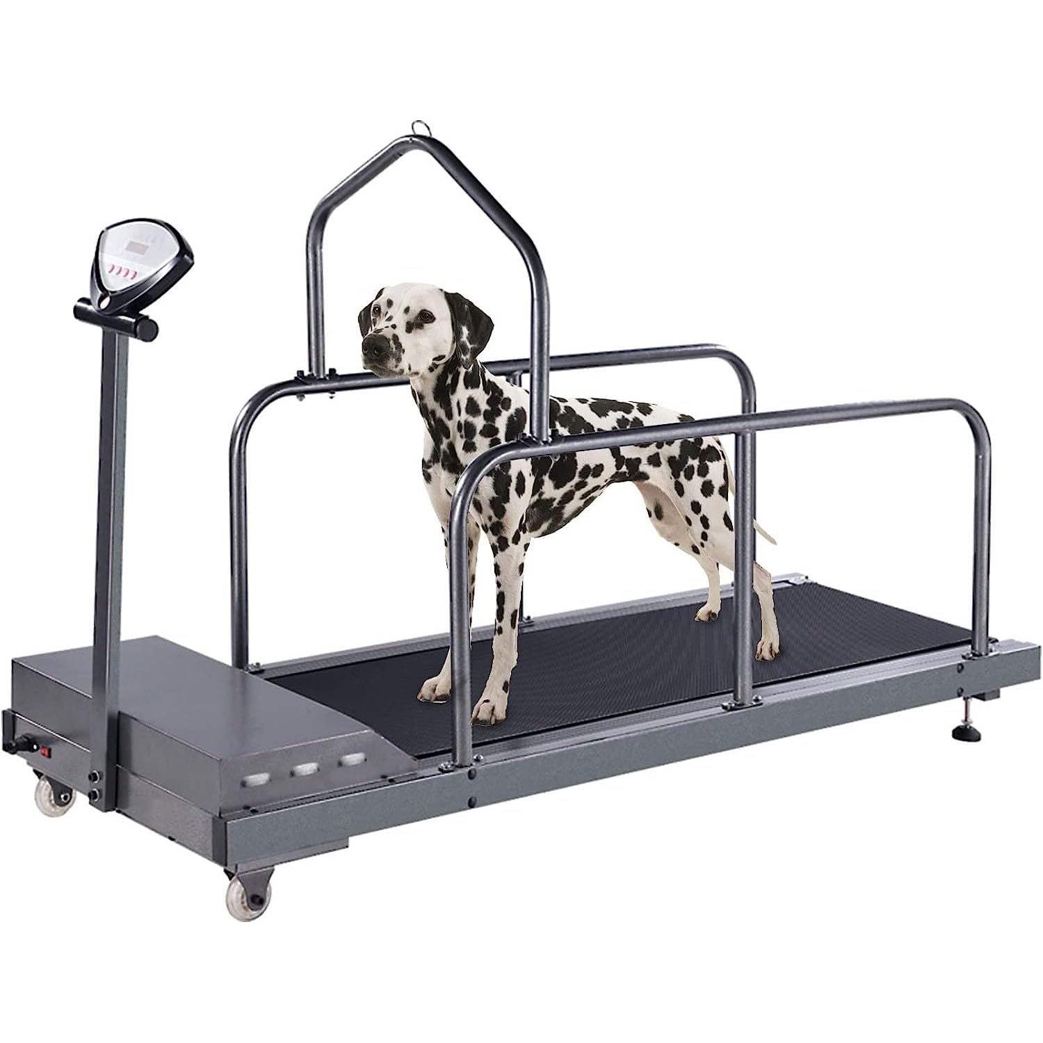 Amazon.co.jp: 大型犬用犬用トレッドミル、ペットランニング