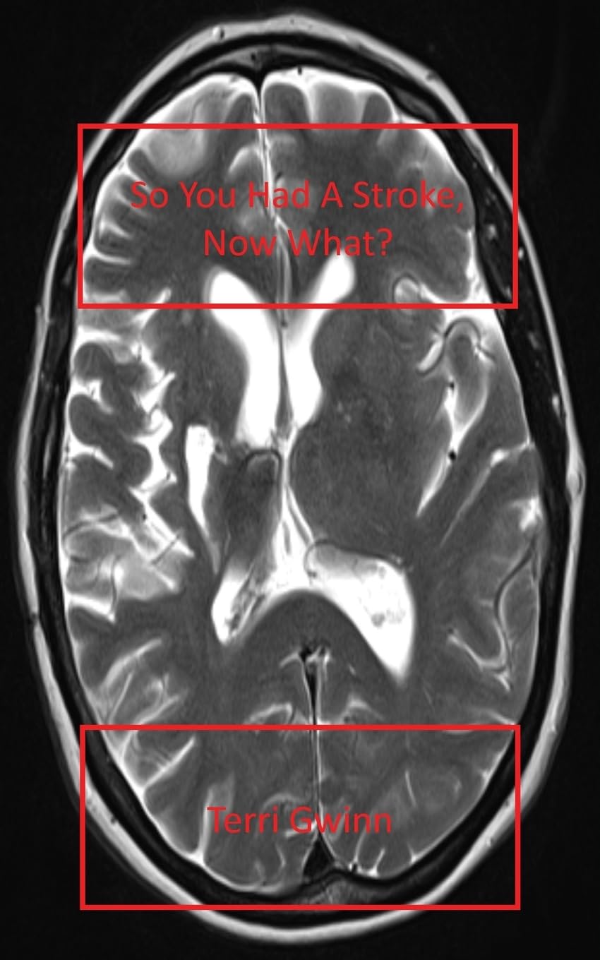 So You Had a Stroke: Now What?