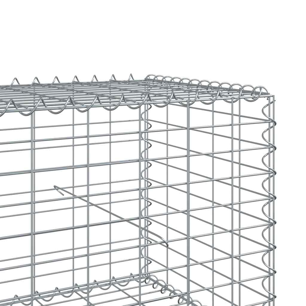 vidaXL Panier Gabion avec Couvercle 200x50x50 cm Fer galvanisé, Mur en Gabion, Mur de soutènement en Gabion, clôture en Gabion, Gabion, Cage Gabion