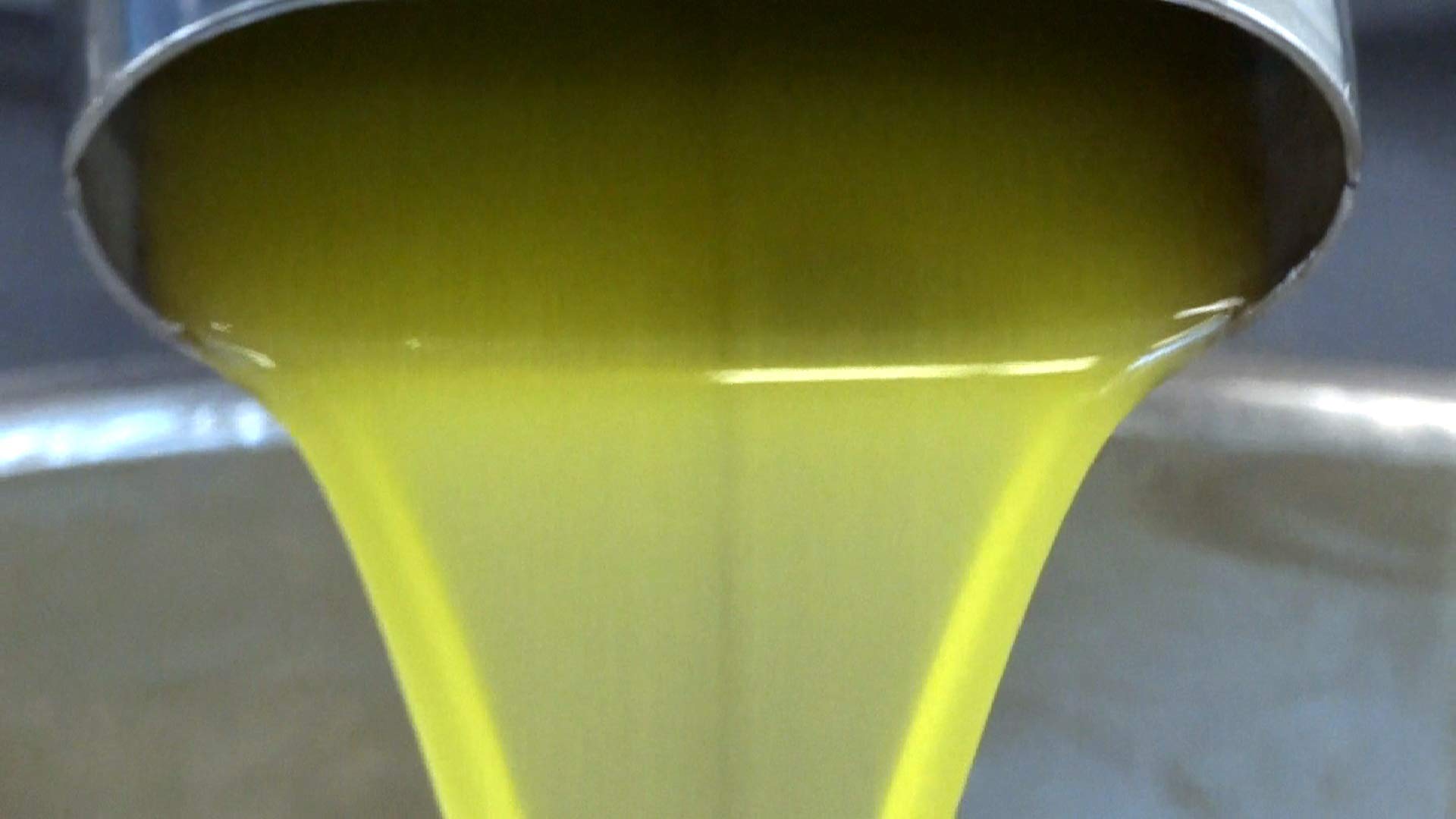 Olio extravergine di oliva italiano EVO Ogliarò Il Delicato 3 litri estratto a freddo monocultivar Ogliarola Garganica certificato e garantito da analisi chimiche (Fruttato Leggero, 3 Litri)