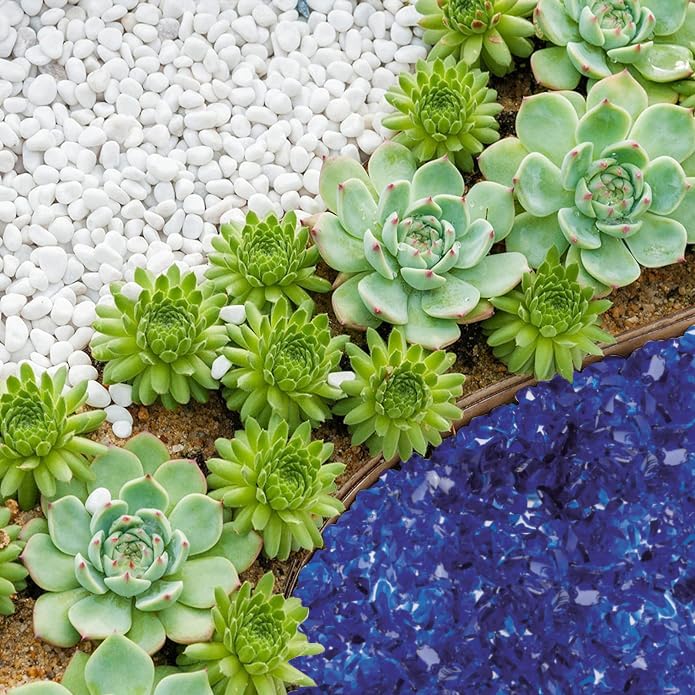Generico Sassi Decorativi per Vasi 0,8-1,2 cm Ciottoli per Giardino Assortiti – Granulato di Marmo per Piante, Paesaggistica, Casa e Giardini - Pietre Acquario (VETRO BLU, 5 Kg)