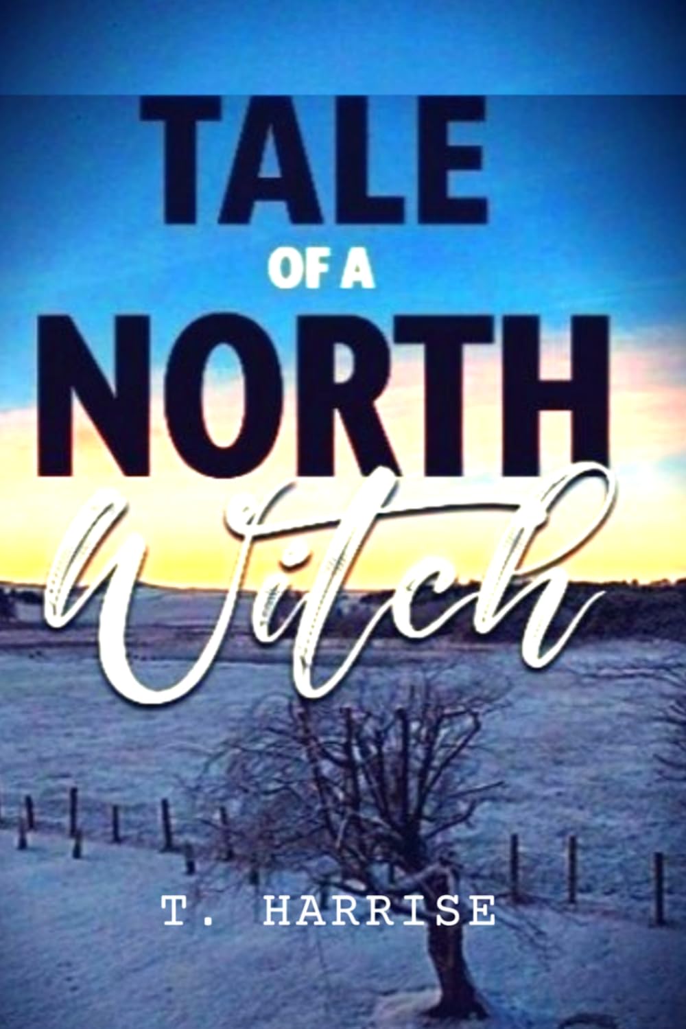 Tale of a North Witch