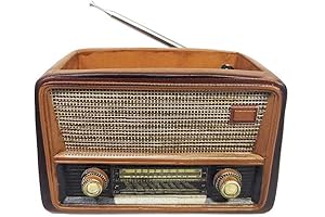 Radio Shape Flower Pot Aesthetic