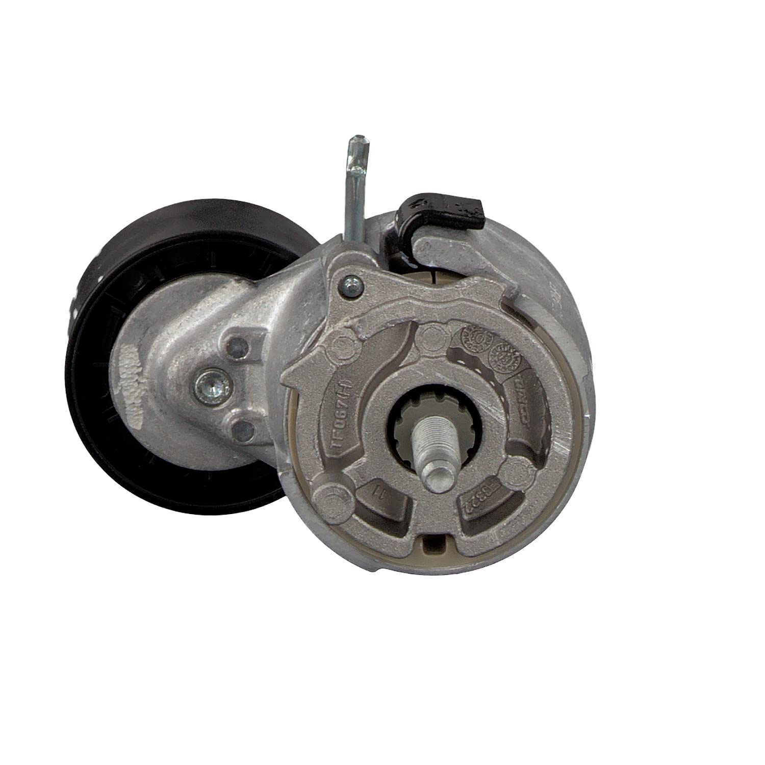 Cinghia Poly-V FEBI BILSTEIN 21060 - Ricambio Auto Di Qualità