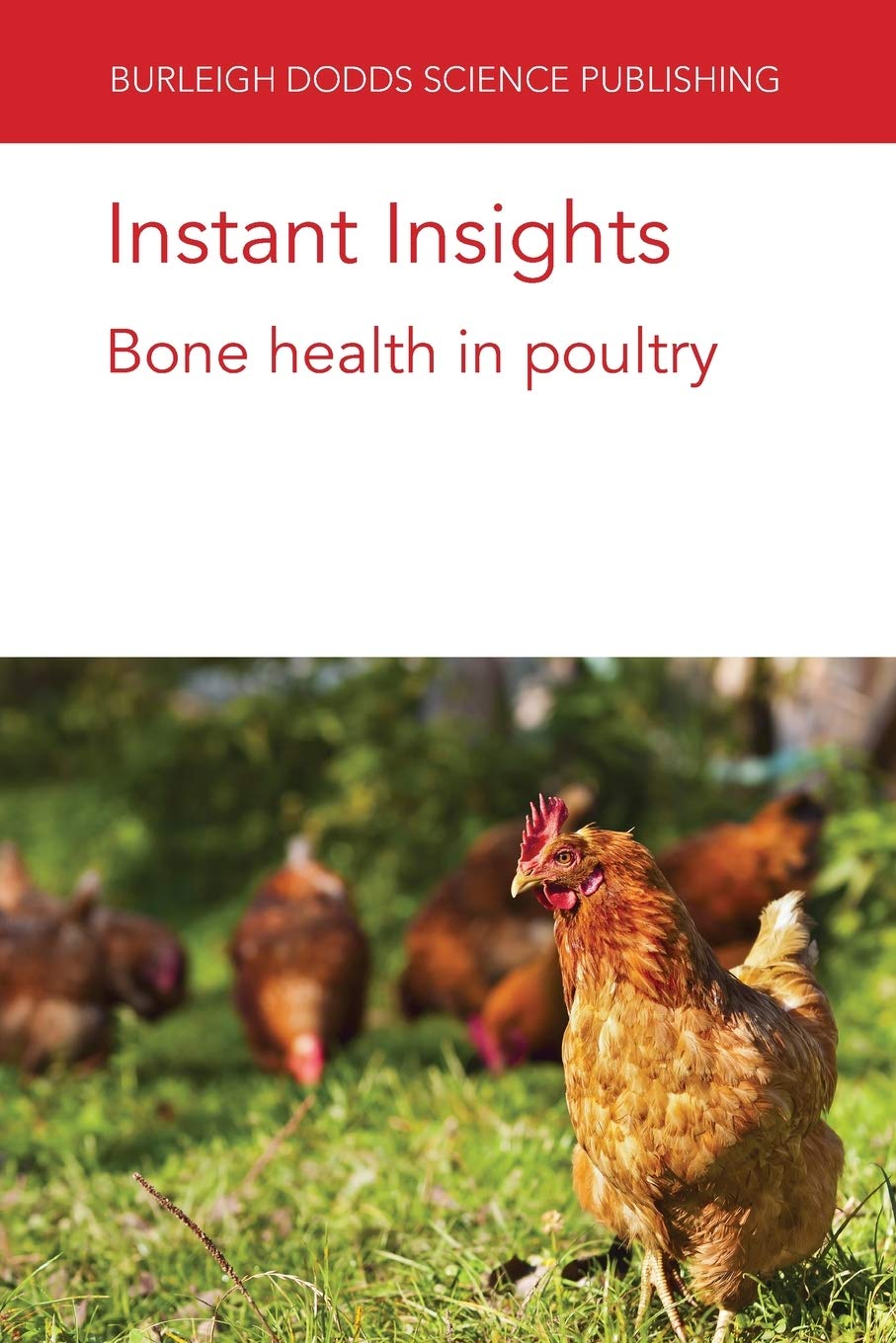 Instant Insights: Bone Health in Poultry