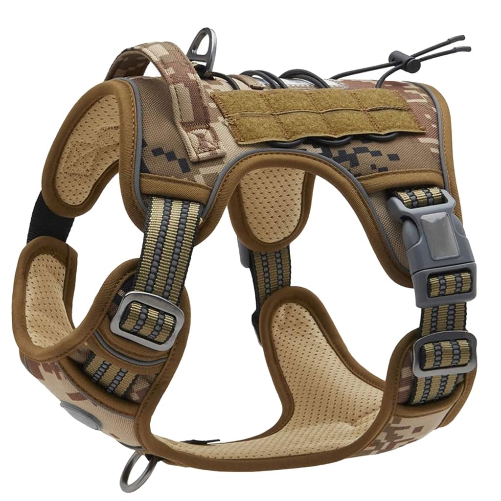 Harnais de dressage pour grand et petit chien avec corde de marche réglable