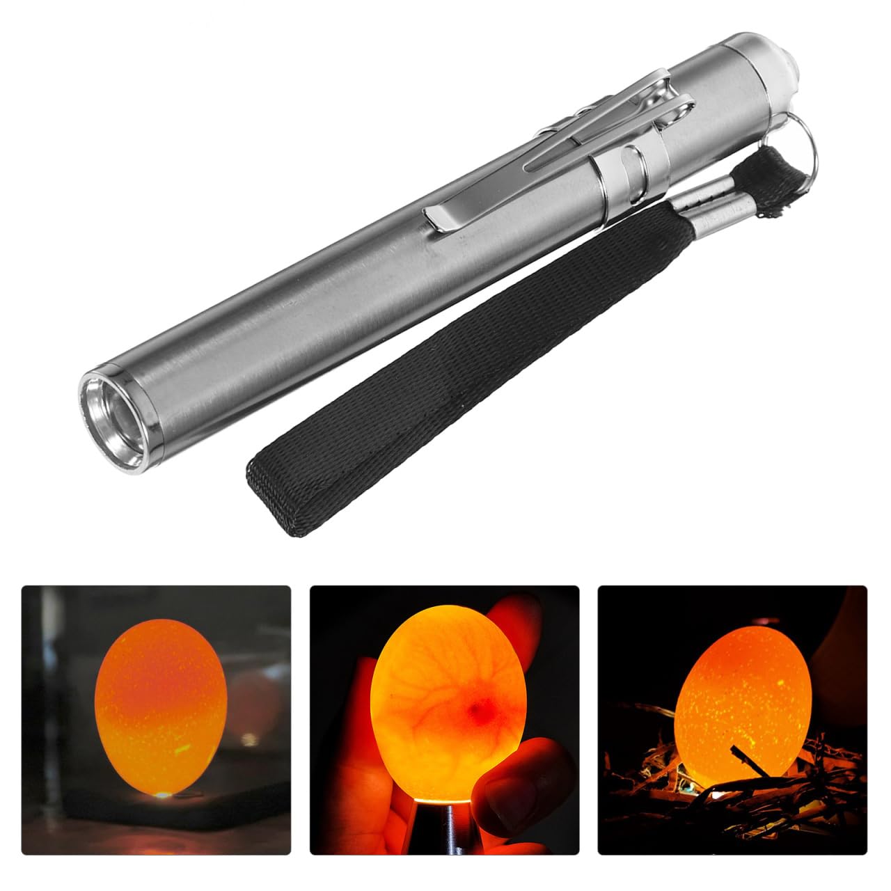 BESPORTBLE Lampe LED pour Mirer Les Œufs Incubation Professionnelle pour Poules Canards Oies avec Lumière Froide Portable pour Vérification Fertilité Et Développement des