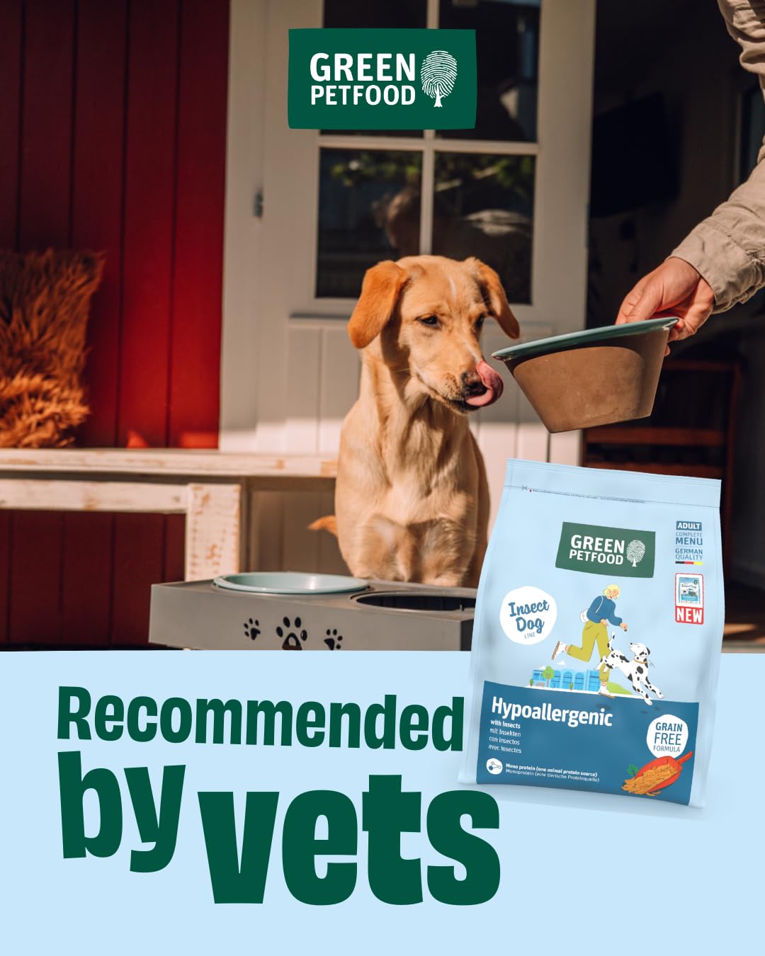 Green Petfood InsectDog Hypoallergen (1 x 10 kg) | Adult | Premium Trockenfutter für ausgewachsene allergische Hunde | getreidefrei mit Insektenprotein | nachhaltiges Hundefutter | (1er Pack NEU)