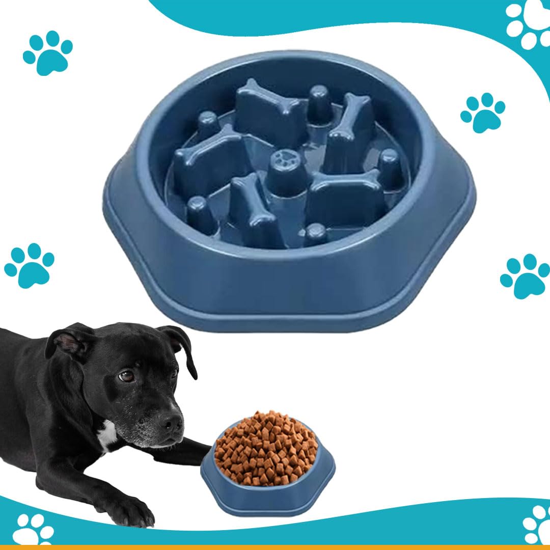 Sponsored Ad - Durable Slow Feeder Bowl for Dog| Anti-Choke Non-Slip Pet Feeding Base and Easy to Clean| Dish Promotes Healthy Eating| Reduces Bloating and Digestive Issues|Interactive Maze Design (Blue)