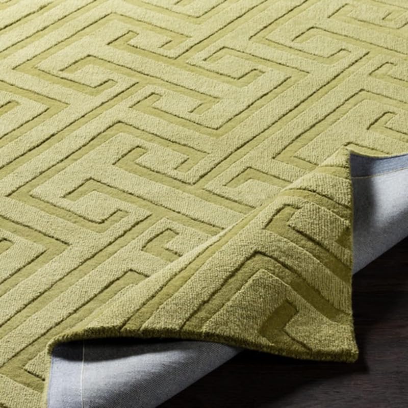 Image of Hand Tufted Modern Design Exported Collection High Low Pattern Wool Carpet for Living Room, Bedroom & Hall (Olive Green, 6 x 9 Feet)