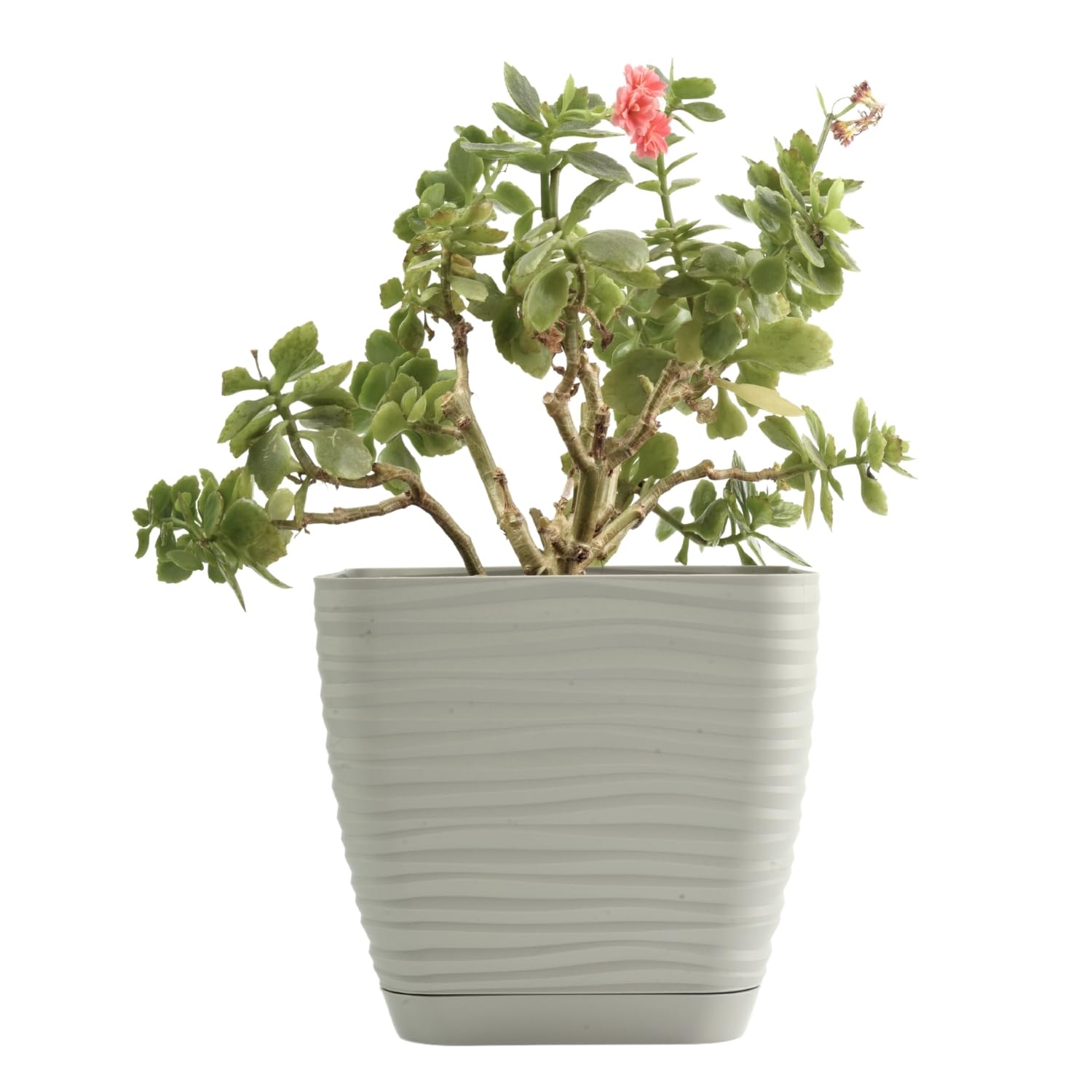 B2C Plant Pot Flowerpot Square Plastic Modern Decorative Wave Grooves Textured Elegant & Modern With Saucer (Light grey, 19cm)