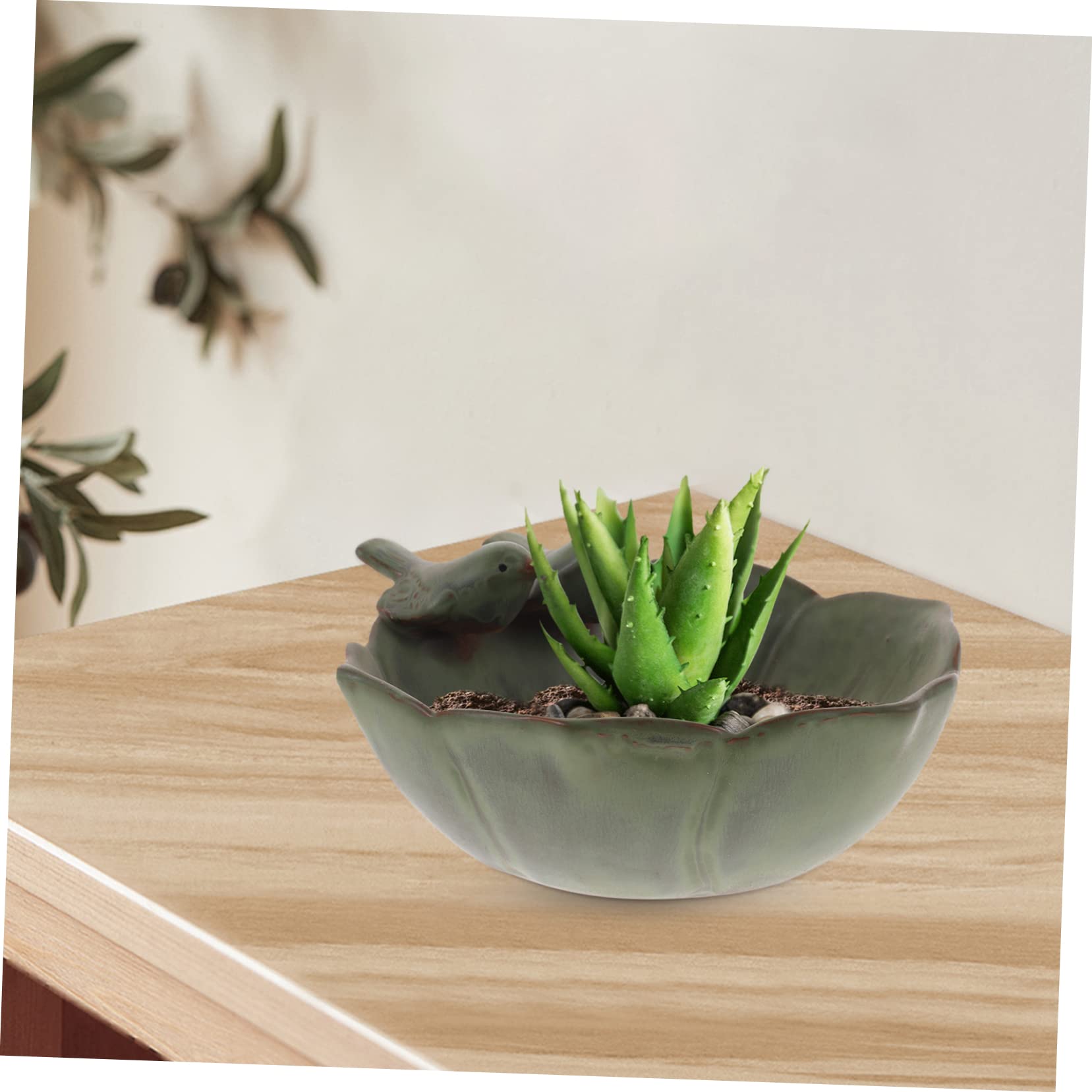 Toyvian Vaso Di Fiori Increspato Pianta Ciotole Succulente Da Giardino Succulento Decorativo Fioriere Piccolo Argilla Vaso Succulento Con Fori Carino Arredamento Fioriera Ceramica