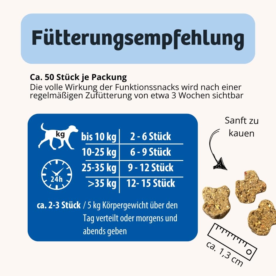 BugBell Getreidefreier Hundesnack für Knochen & Gelenke 60g, bei Arthrose, Patellaluxation, mit Grünlippmuschel & Spirulina & Weidenrinde & Teufelskralle