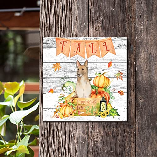 Plaque murale en bois Fall Pumpkins 30x30 cm décor rustique pour bureau