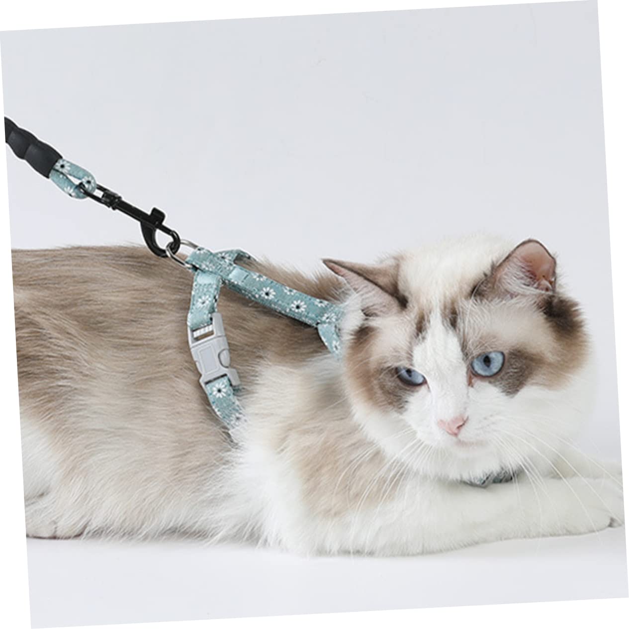 DOITOOL 3stücke Verstellbares Katzen-Geschirr Mit Blütenmuster Bequemer Baumwollgurt Für Katzen Für Und Outdoor-aktivitäten