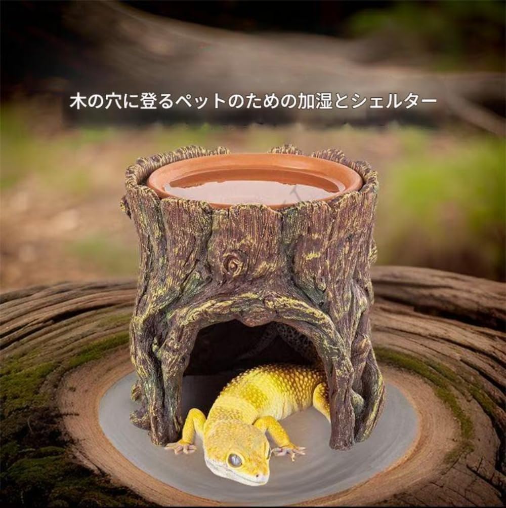 Amazon | 爬虫類シェルター隠れ家ウェットシェルター洞窟爬虫類の木の