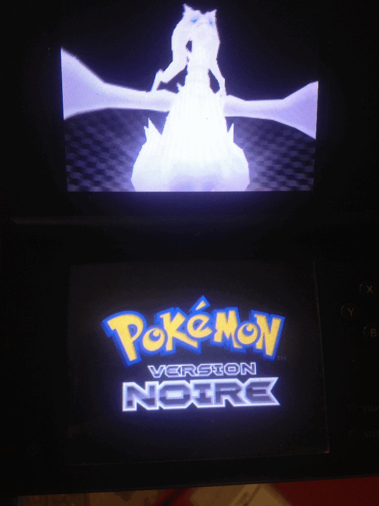 POKMON version noire [Edizione : Francia]