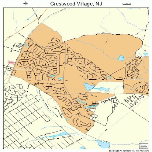 Large Street & Road Map of Crestwood Village, New Jersey NJ Printed