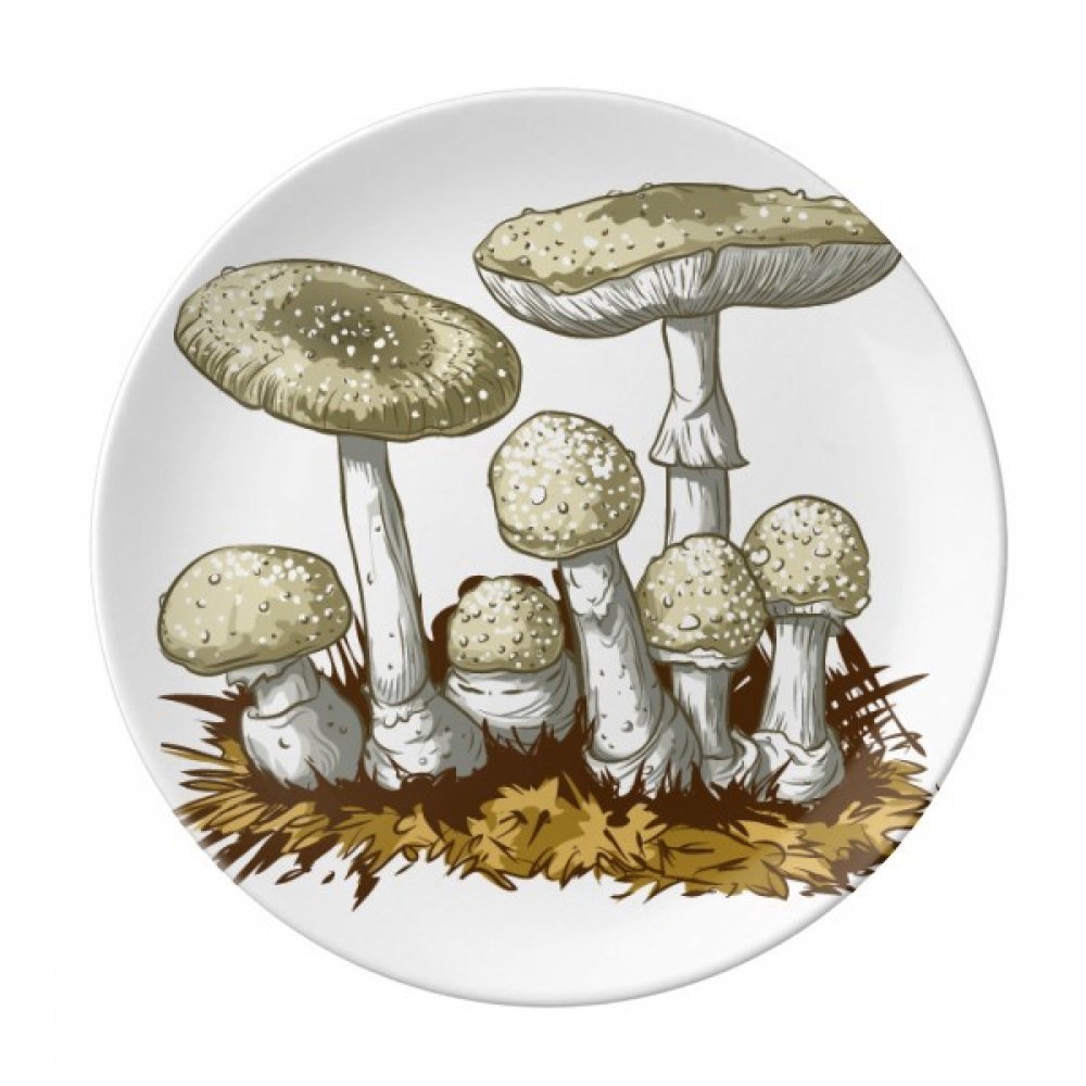 Assiette cadeau en porcelaine avec illustration de champignon pour pendaison de crémaillère