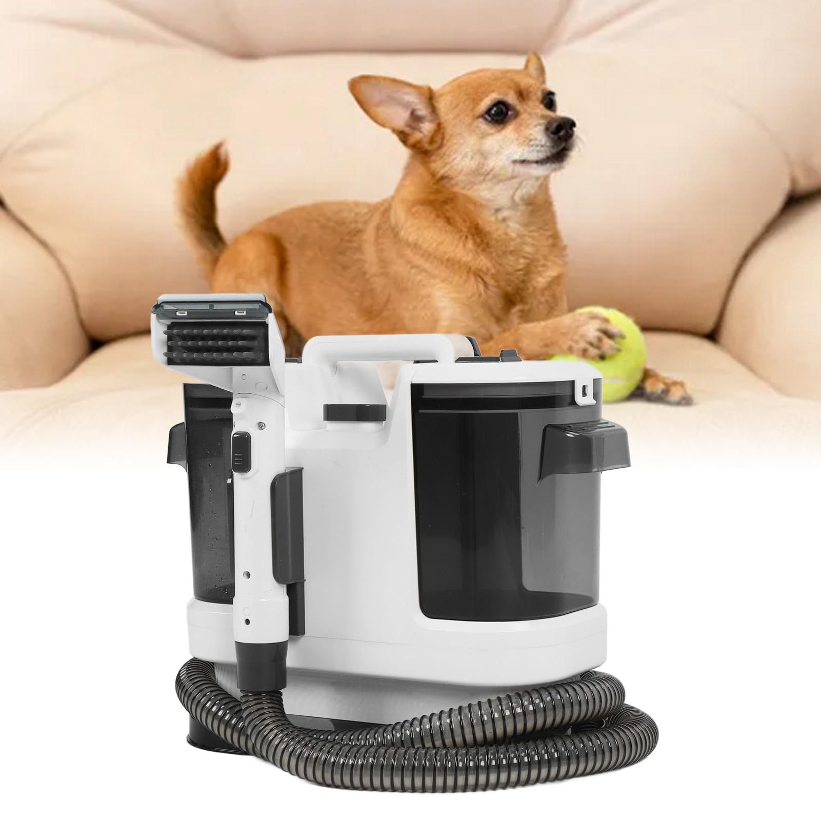 Máquina Limpiadora de Tapicería de Alfombras para Mascotas Domésticas, Potente y Versátil Quitamanchas para Mascotas, Máquina Compacta de Limpieza de Sofás con Pulverización y