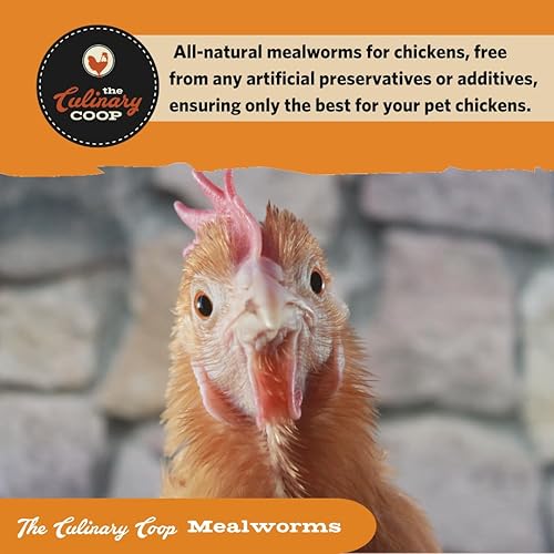 Miniatura 7 de Fluker's Culinary Coop Premium - Golosinas de pollo, gusanos de la harina, 3.5 onzas, gusano alto en proteínas, golosina nutritiva