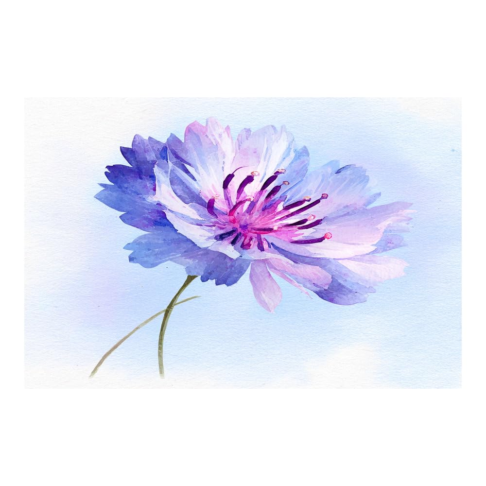 Teruea Purple Canvas Wall Art Flowers 1 Part Single Violet Blush Cornflower Soft Watercolour Floral Print For Home And Office Decoration(Purple)-80X120cm1 Unframed