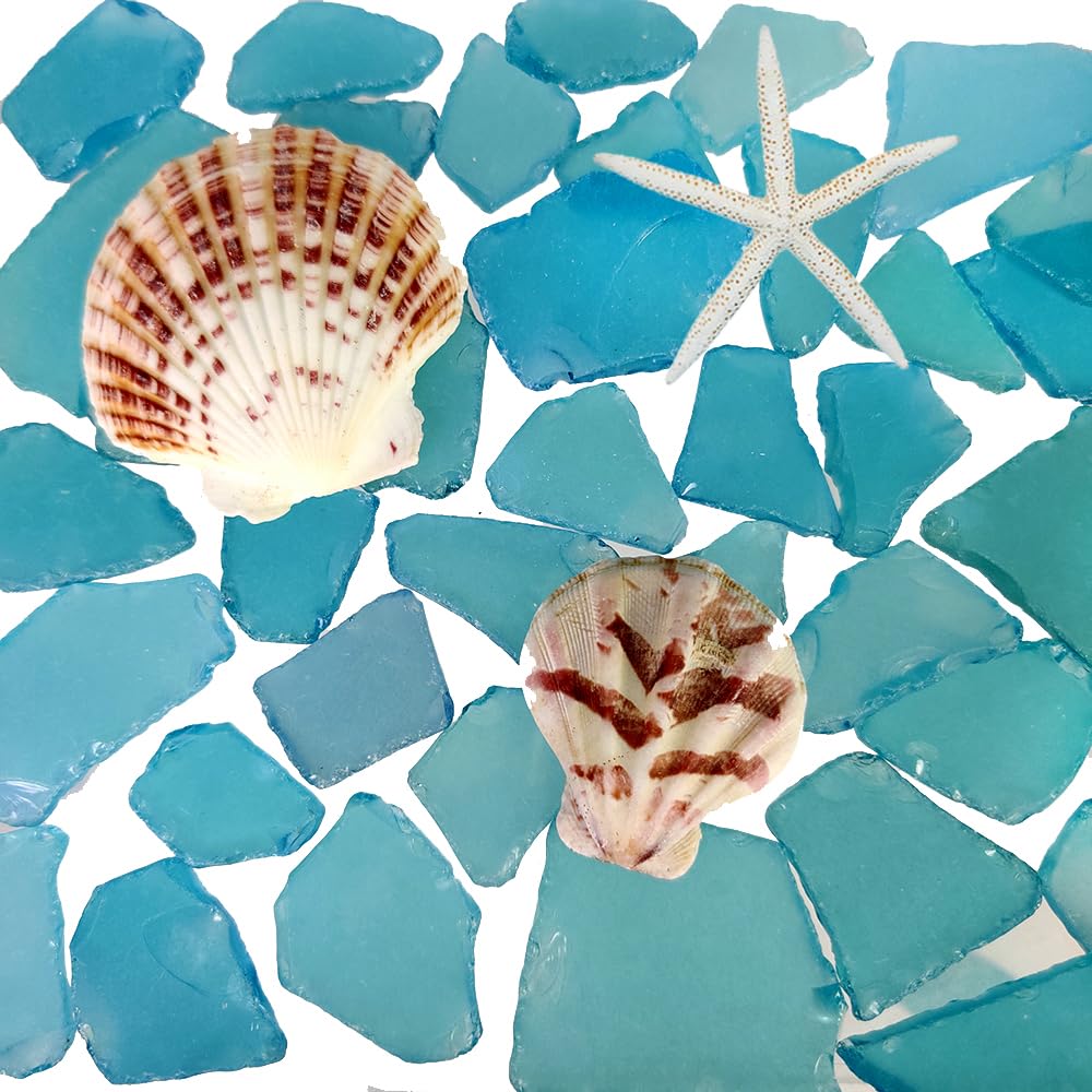 G&S homedeko Sea Blue Sea Glass 10oz Bulk Mix with 2 Pieces Seashells - Genuine Beach Tumbled Glass Pieces for Crafts, Vase Filler, Coastal Home Decor, DIY Projects,Gift Filling