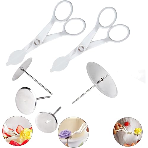 6PCS Cake Flower Nail and Flower Lifters Set, Stainless Steel Baking Tools for Icing Flowers Decoration