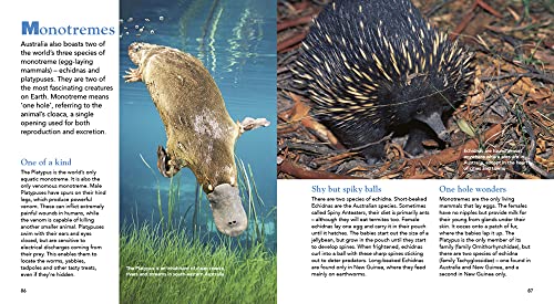 Encyclopedia Of Australian Animals