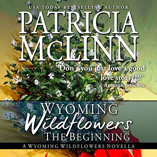 Match Made in Wyoming Wyoming Wildflowers, Book 2 (Audible