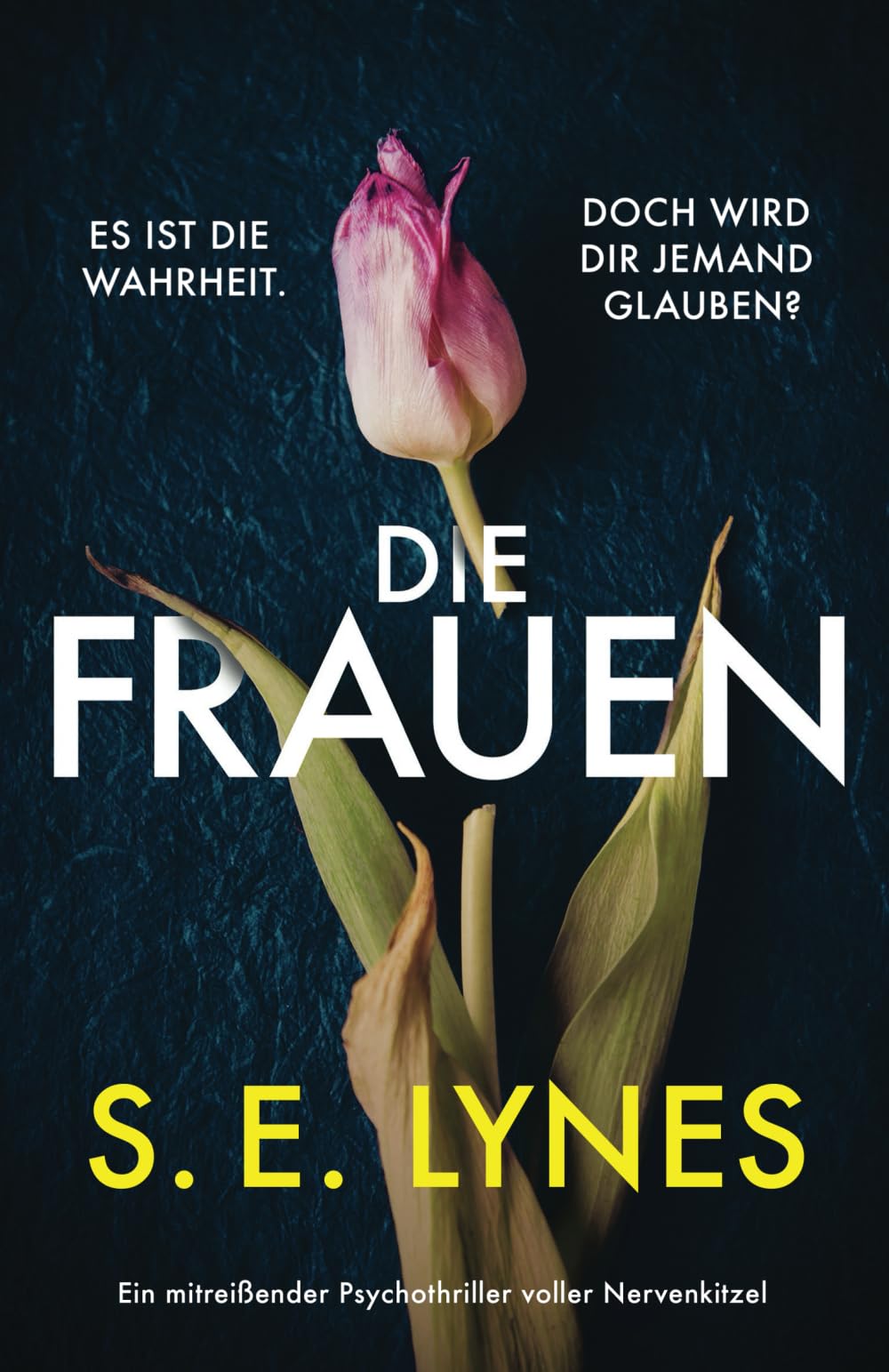 Die Frauen: Ein mitreißender Psychothriller voller Nervenkitzel