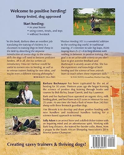 Positive Herding 101: Dog-friendly training (Positive Herding Dog) - Image 2