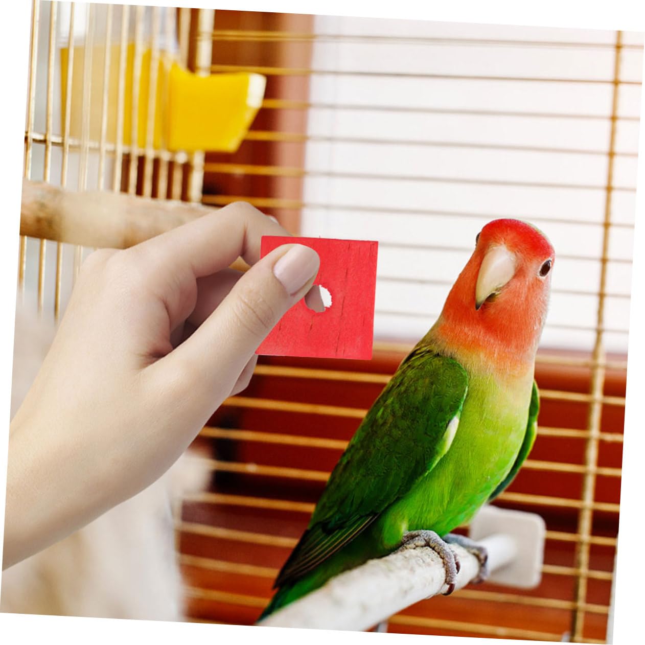 Sosoport 250piezas Juguetes para De Madera Bloques Masticables para Aves Juguetes para Morder Jaulas Diversión y para Periquitos y