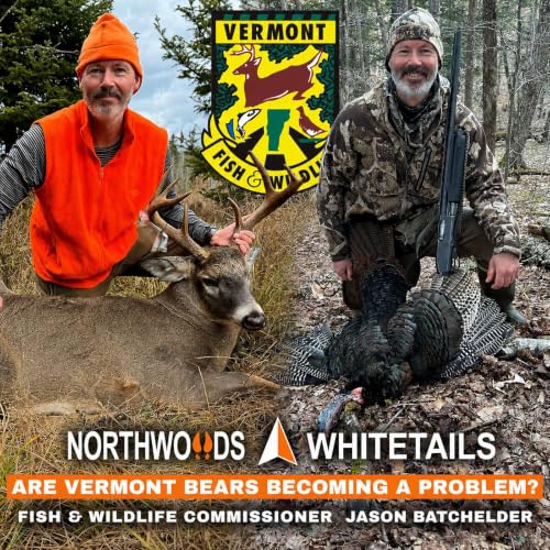 Are Vermont Bears Becoming a Problem? | Fish & Wildlife Commissioner - Jason Batchelder - Weighs In