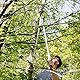 Spear & Jackson 8290RS Razorsharp Advance robuste Teleskop-Ratschen-Amboss-Astschere