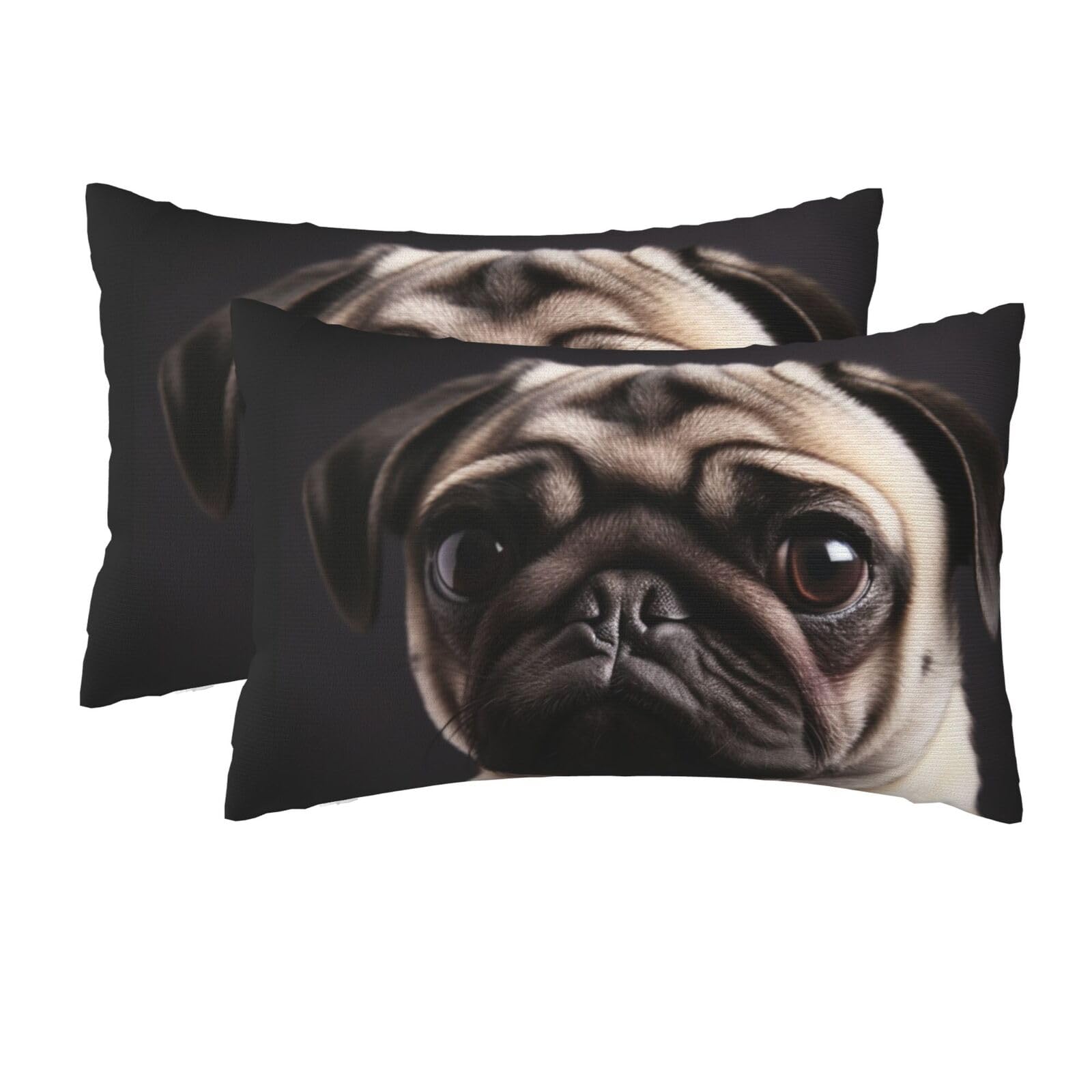 2 Pack Queen Pillow Cases with Hidden Zipper, Soft Breathable Pillow Covers for Hair and Skin, Pug Pillowcases 20"x30" Bed Pillow Protectors Cover for Sleeping Gifts