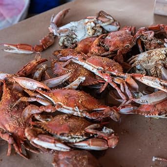 Cameron's Seafood Maryland Blue Crabs Males Jimmys Steamed (1 Dozen)