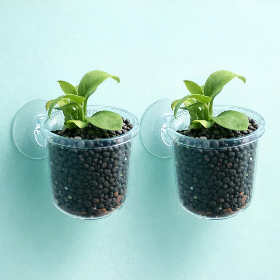 Small Aquarium Plant Cup Pot for Fish Tank for Aquarium Decoration with Aryclic Materials & Cup Holder Suction (Small Pot) Pack of 2-image-29