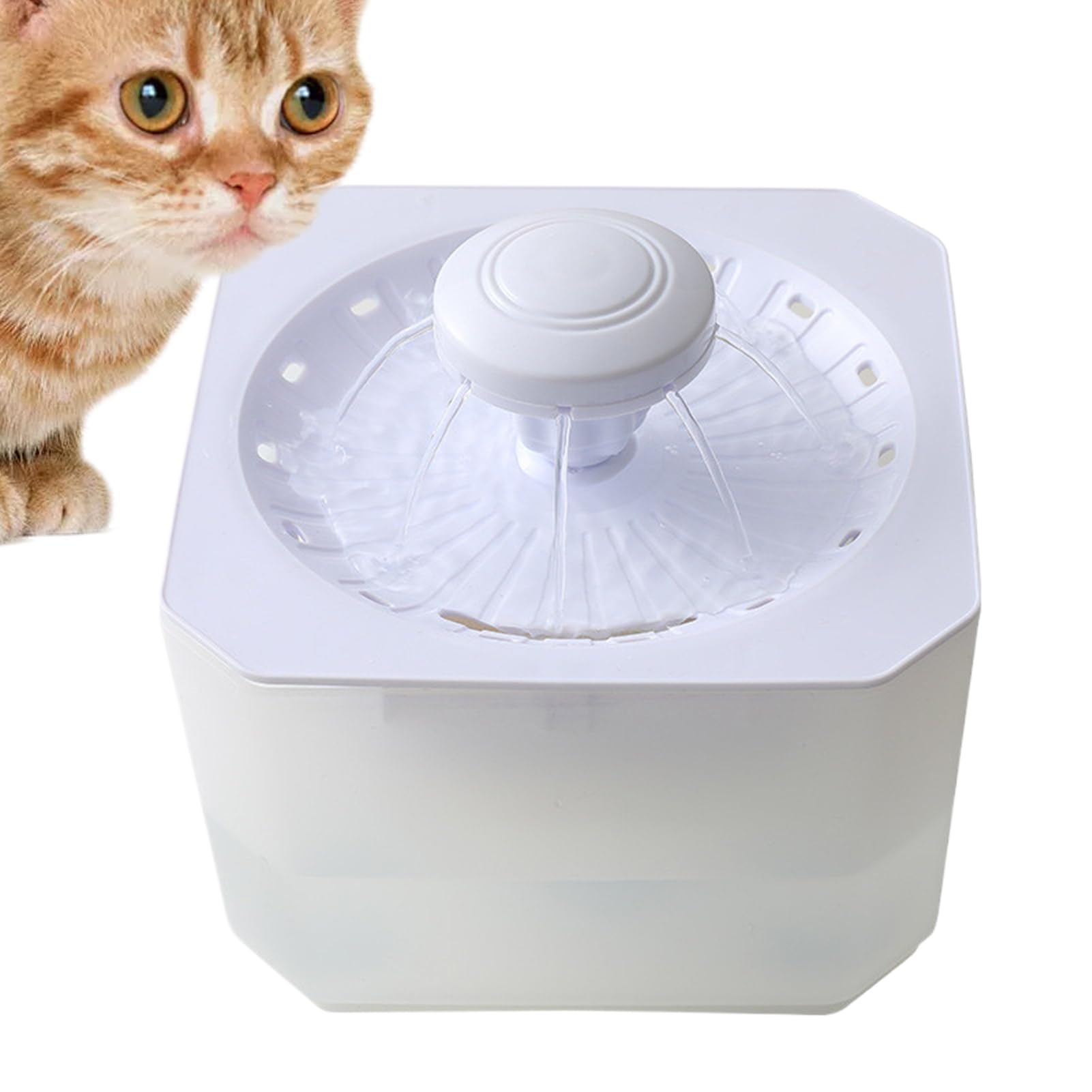 Distributeur d'eau pour chien de 2500 ml automatique pour la maison