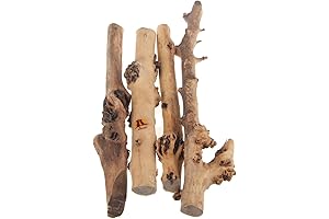 Natural Reptile Forest Branch Terrarium Wood Aquarium Décor Ornament For Pets
