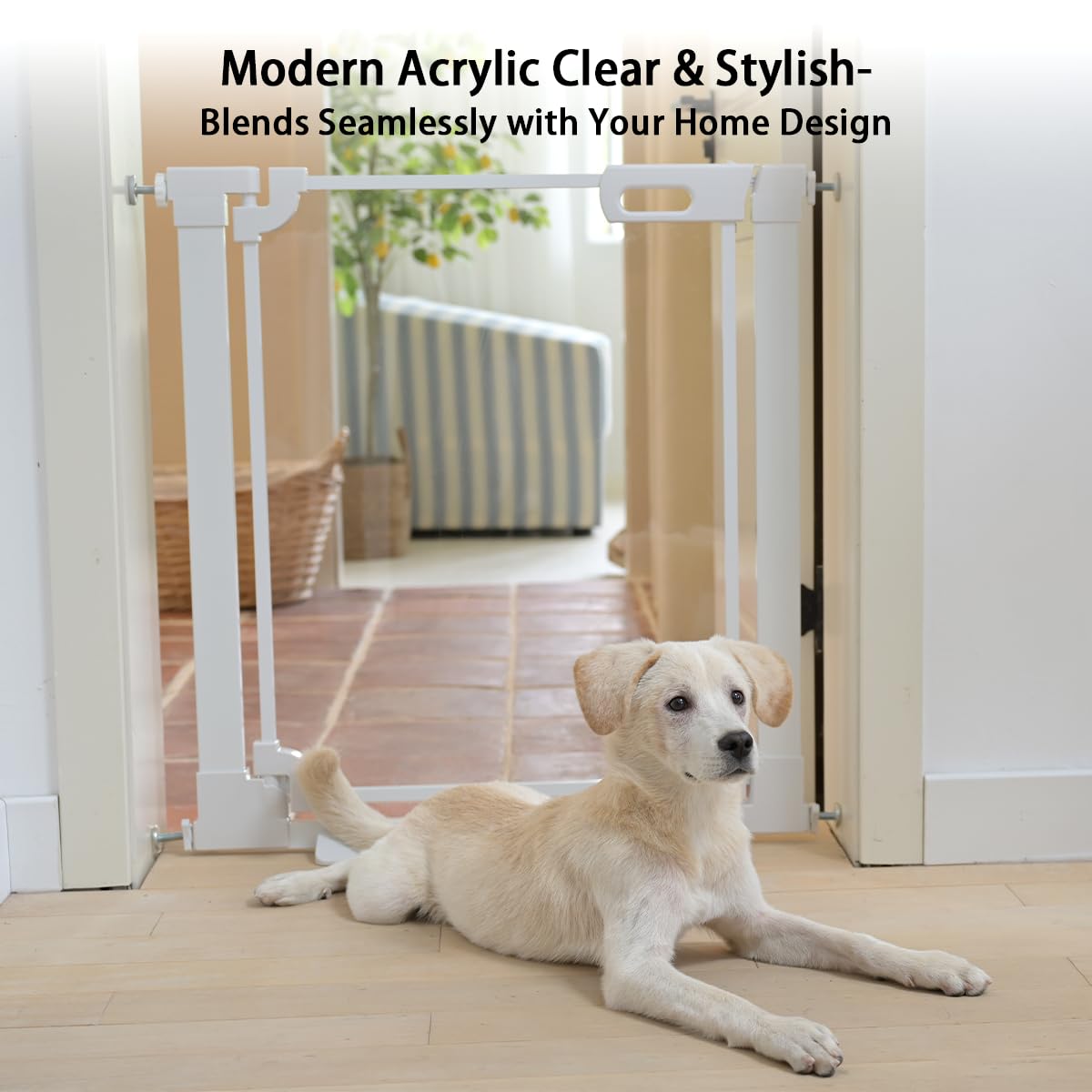 Xifamniy Puerta de escalera transparente para mascotas, puertas de escalera de 122 cm para puerta de escalera de bebé y niño, puertas de escalera para perros para Stufen und Gänge