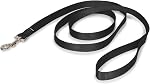 PetSafe Nylon Dog Leash - Strong, Durable, Traditional Style Leash with Easy to Use Bolt Snap - 3/4" x 6', Black
