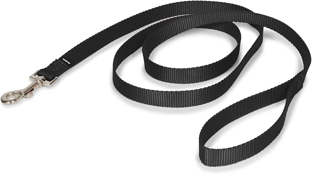 PetSafe Nylon Dog Leash - Strong, Durable, Traditional Style Leash with Easy to Use Bolt Snap - 3/4" x 6', Black