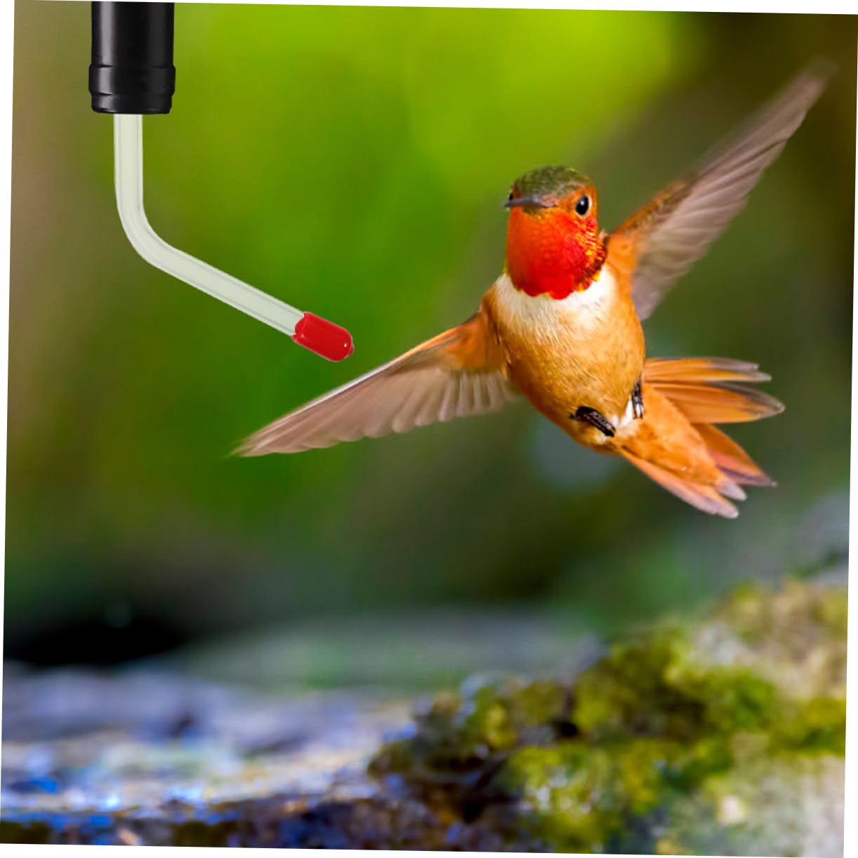 Abaodam 3 Series Comedero para Colibríes De Pájaros Al Aire Sondas De Alimentacion Partes del Comedero De Colibrí Al Aire Bebedero para Pájaros 3 Piezas*3
